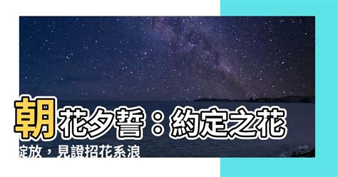 招花系是|【招花系是】「招花系是——朝花夕誓，點綴離別之早」